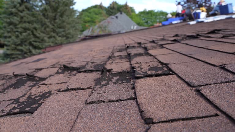 Best Solar Panel Roofing Installation  in Meriden, CT