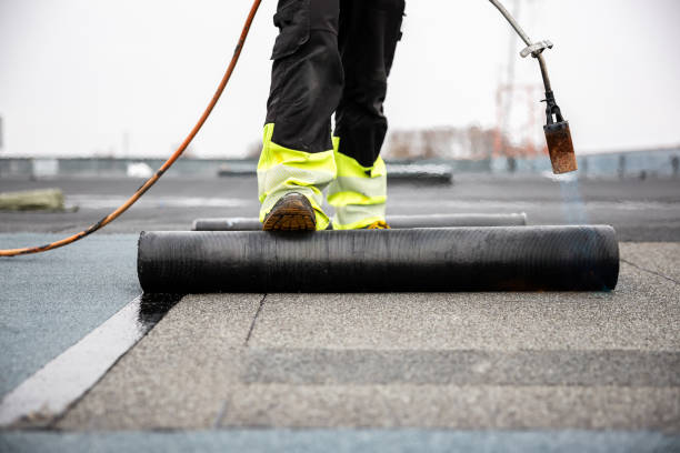 Best Skylight Installation and Repair  in Meriden, CT